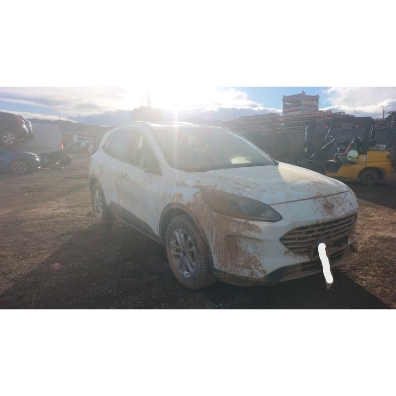 FORD KUGA III (DFK)