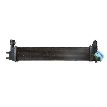 RADIADOR AGUA 214108831R 