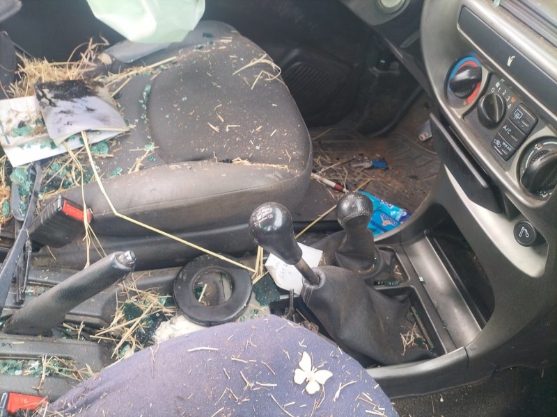 nissan terrano/terrano.ii (r20) del año 2007