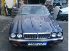 JAGUAR XJ6/12