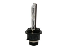 Recambio de bombillas para renault espace iv (jk0) dynamique referencia OEM IAM 600555  