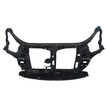 PANEL FRONTAL 641011D000 641011D000
