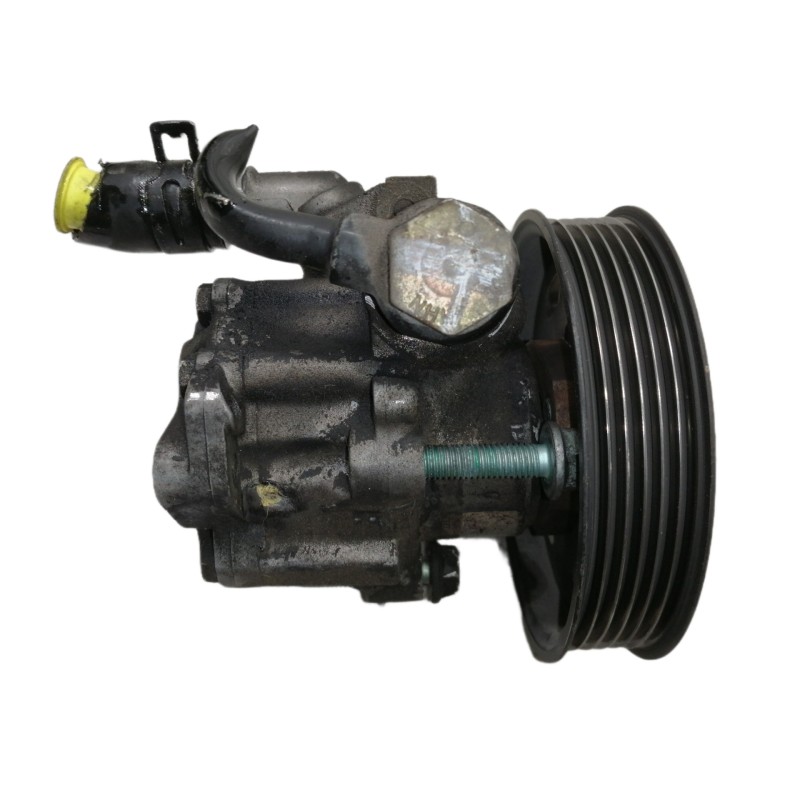 Recambio de bomba direccion para seat ibiza (6k1) select referencia OEM IAM 7691955213  