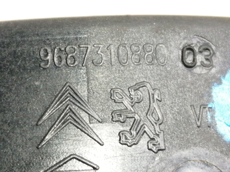 Recambio de tapa exterior combustible para citroën c4 lim. collection referencia OEM IAM 9687310880 806650 9651690280