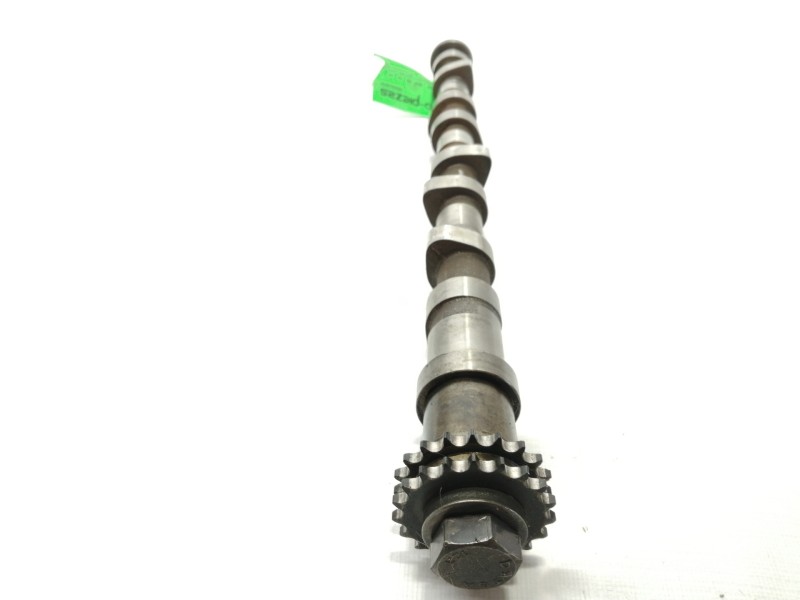 Recambio de arbol de levas para nissan pathfinder (r51) 2.5 dci le referencia OEM IAM   