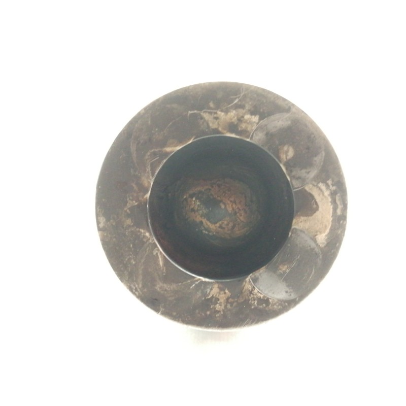 Recambio de piston para bmw x3 (f25) xdrive 20d referencia OEM IAM   