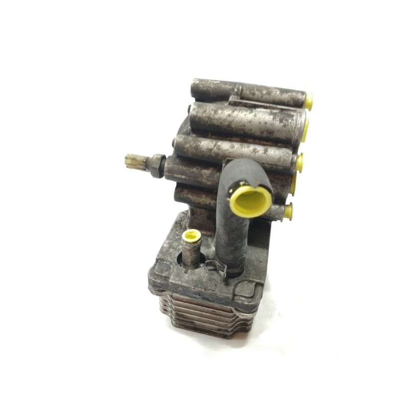 Recambio de enfriador aceite motor para ford mondeo berlina (ge) ambiente referencia OEM IAM 1C106B624AF  