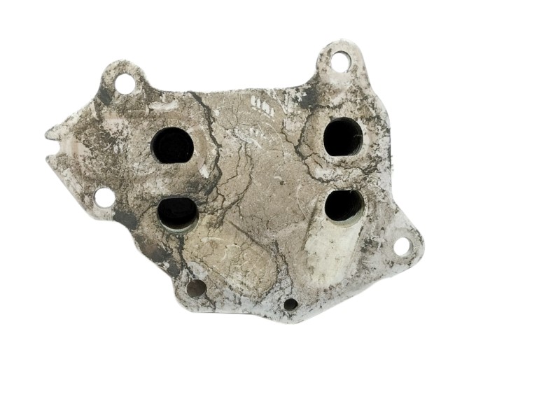 Recambio de enfriador aceite motor para citroën c2 1.4 referencia OEM IAM   