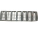 REJILLA DELANTERA 