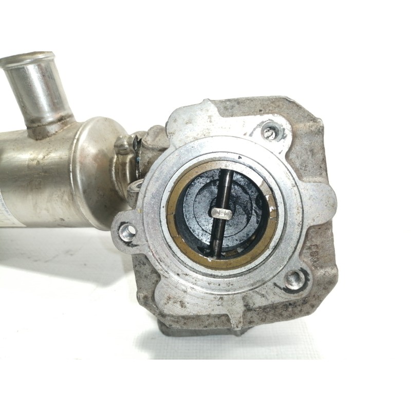 Recambio de enfriador egr para ford focus berlina (cap) ghia referencia OEM IAM 9646762280  
