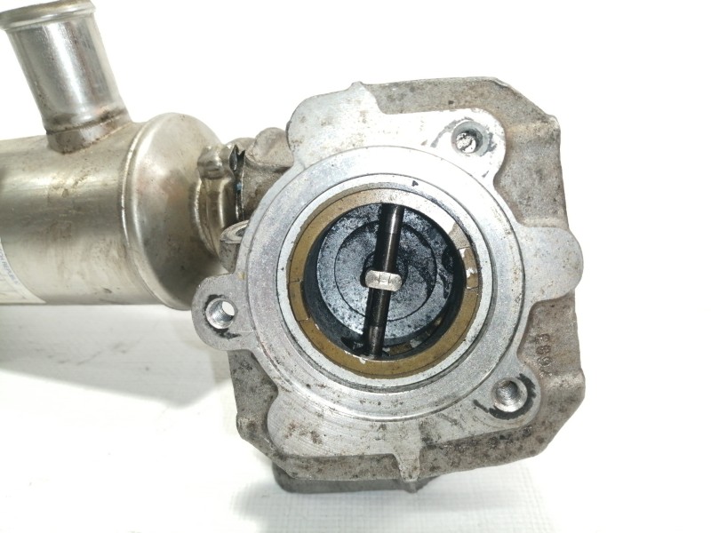 Recambio de enfriador egr para ford focus berlina (cap) ghia referencia OEM IAM 9646762280  