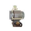 Recambio de cinturon seguridad delantero derecho para renault scenic ii confort authentique referencia OEM IAM 8200699577 804889