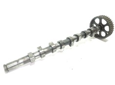Recambio de arbol de levas para renault kangoo (f/kc0) authentique referencia OEM IAM    2