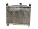 RADIADOR AGUA 4221719872 