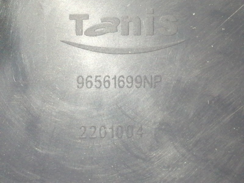 Recambio de guarnecido puerta delantera izquierda para peugeot 1007 urban referencia OEM IAM 96561699NP 2201004 / 20002520 96572