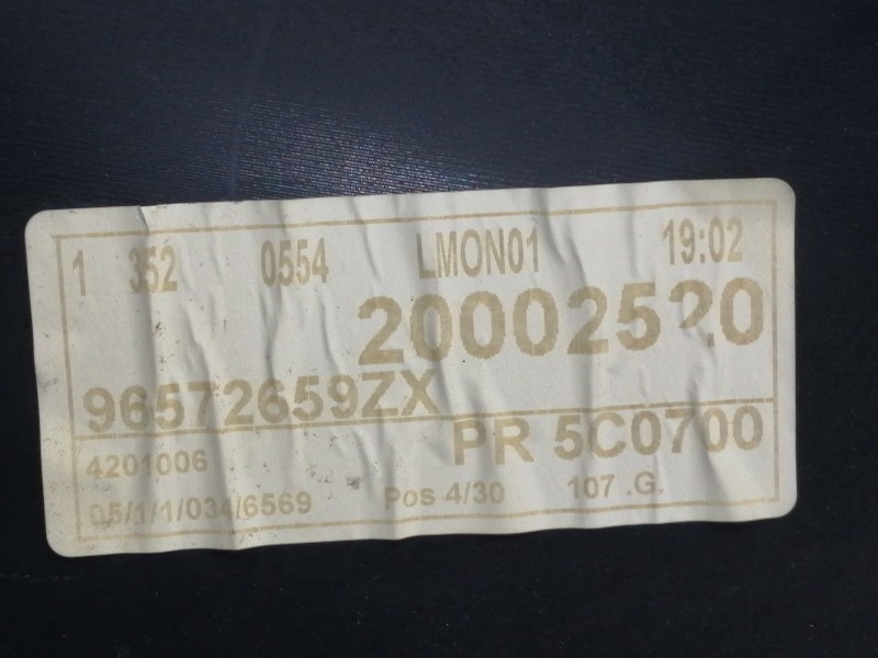Recambio de guarnecido puerta delantera izquierda para peugeot 1007 urban referencia OEM IAM 96561699NP 2201004 / 20002520 96572