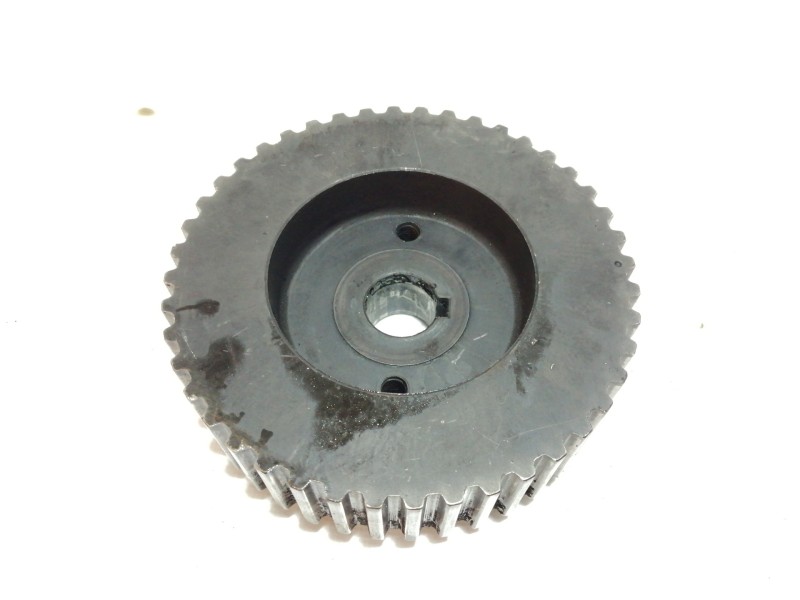 Recambio de polea arbol levas para land rover discovery (salljg/lj) tdi (3-ptas.) referencia OEM IAM   