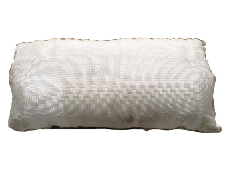 Recambio de airbag delantero derecho para bmw x5 (e53) 4.4i automático referencia OEM IAM 39840226009F  