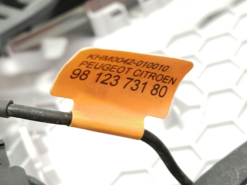 Recambio de luz interior para opel crossland x edition referencia OEM IAM 9812373180  