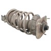 Recambio de amortiguador delantero derecho para volvo s60 berlina d5 referencia OEM IAM 824904553828  8667248A