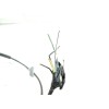 Recambio de cerradura puerta delantera derecha para ford c-max (cb3) ghia referencia OEM IAM 3M5AR21812AK  240000100