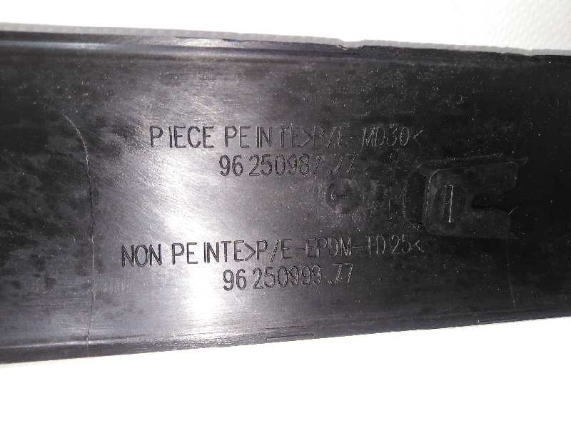 Recambio de moldura para peugeot 206 cc cc referencia OEM IAM 9625099977  