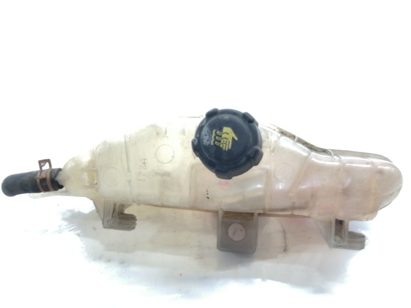 Recambio de deposito expansion para renault clio iii authentique referencia OEM IAM   