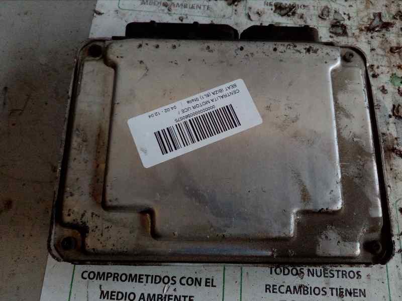 Recambio de centralita motor uce para seat ibiza (6l1) stella referencia OEM IAM 038906019KT  