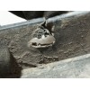 Recambio de aletin delantero izquierdo para bmw x3 (e83) 3.0 turbodiesel cat referencia OEM IAM 51713405817 12125313 