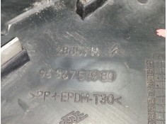 Recambio de rejilla delantera para citroën c5 berlina 2.0 hdi sx referencia OEM IAM 9636751980   2