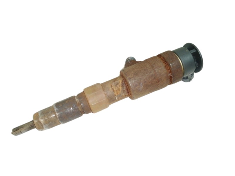 Recambio de inyector para ford fiesta (cb1) ambiente referencia OEM IAM 0445110339  