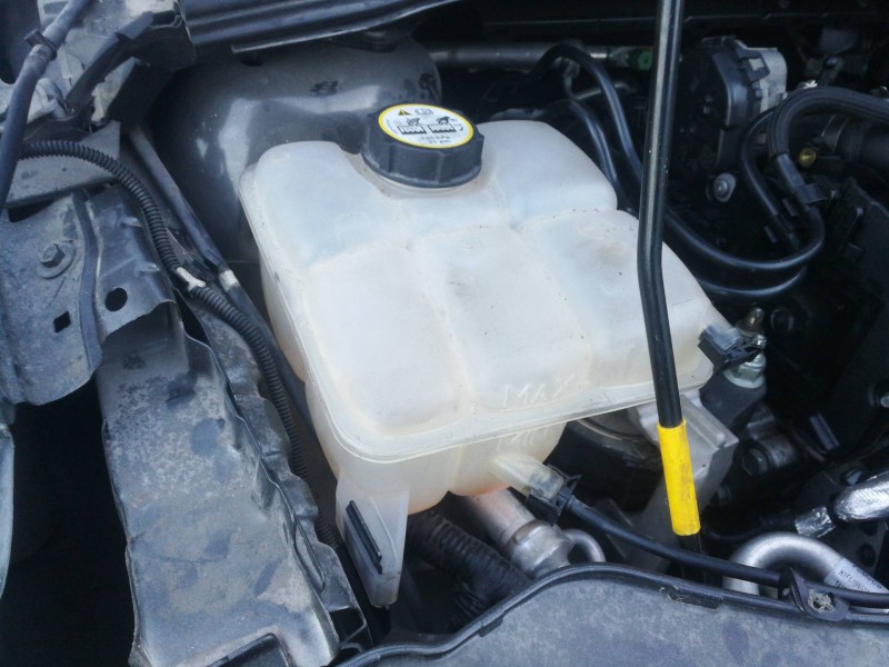 Recambio de deposito expansion para ford focus lim. business referencia OEM IAM 8V618K218  