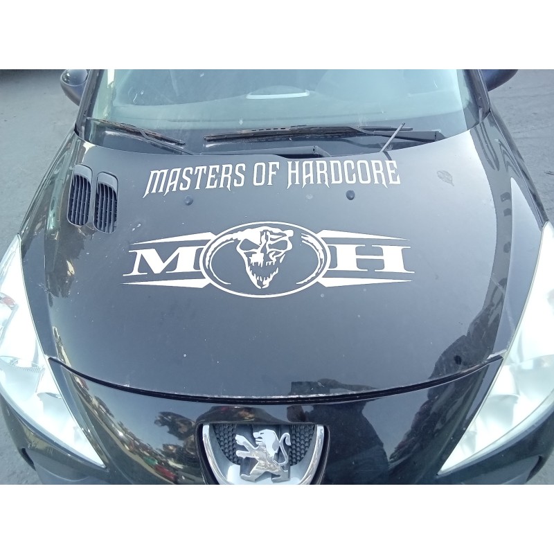 Recambio de capot para peugeot 206 berlina xs-line referencia OEM IAM   