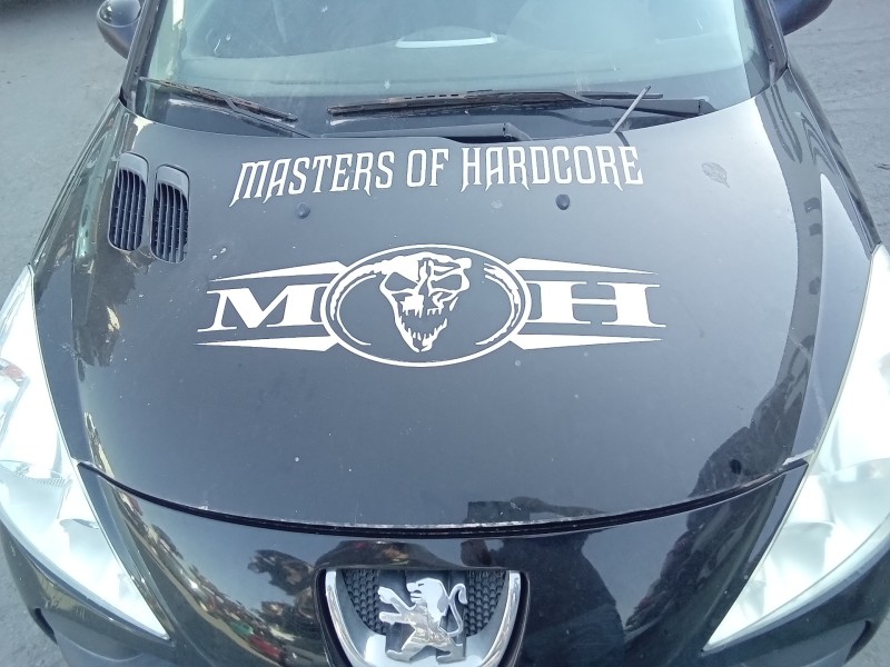 Recambio de capot para peugeot 206 berlina xs-line referencia OEM IAM   