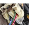 Recambio de cerradura puerta delantera izquierda para mitsubishi santamo (hyundai) santamo confort referencia OEM IAM 81310M2000