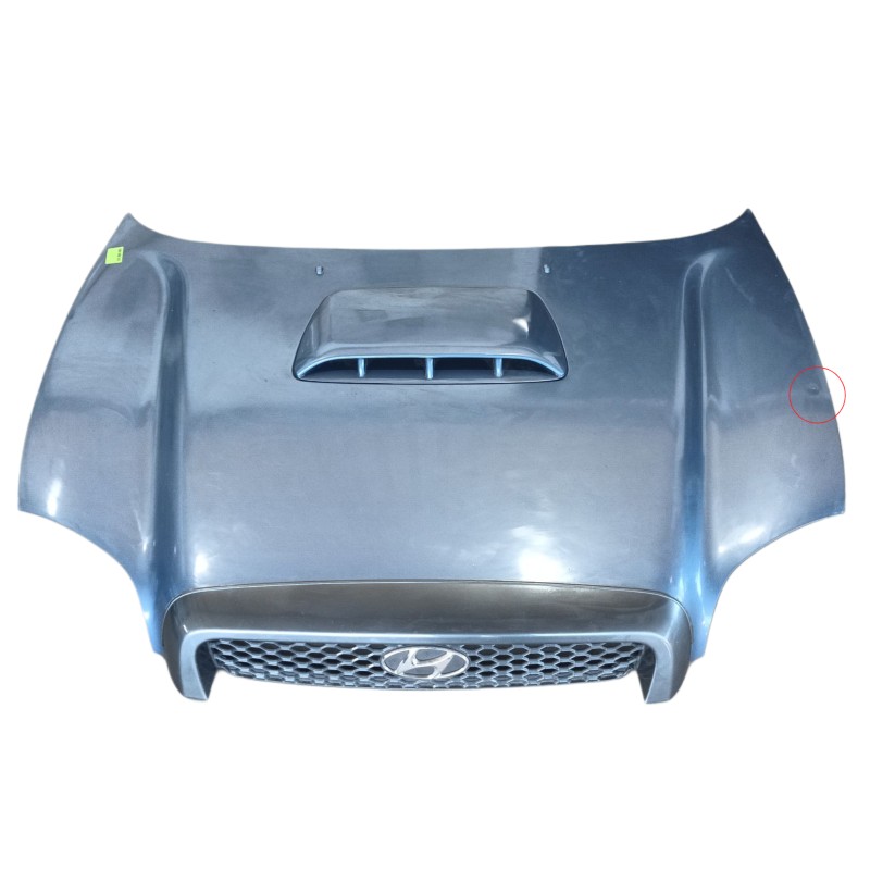 Recambio de capot delantero para hyundai santa fé i (sm) 2.0 crdi referencia OEM IAM 6640026072  