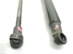 Recambio de amortiguadores maletero / porton para bmw serie 1 lim. (f20) 114d referencia OEM IAM 51247239871   2