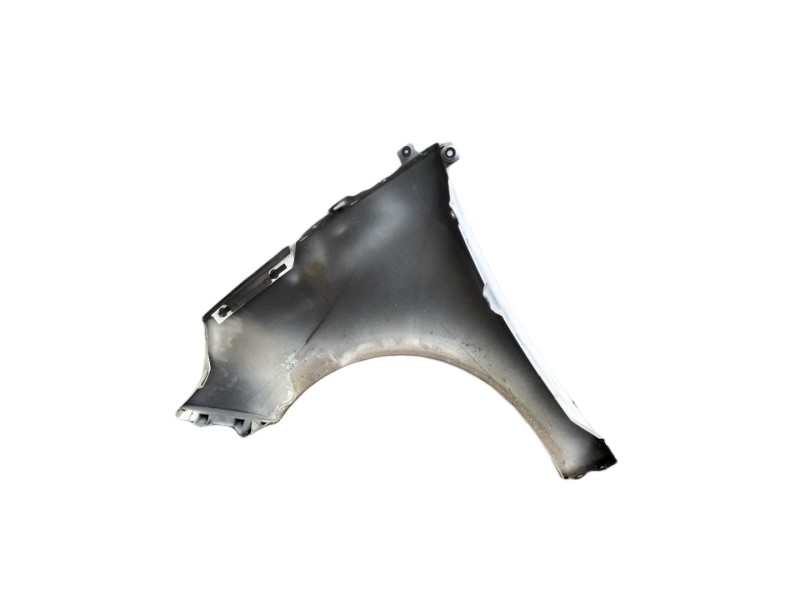 Recambio de aleta delantera derecha para renault scenic iii dynamique referencia OEM IAM   