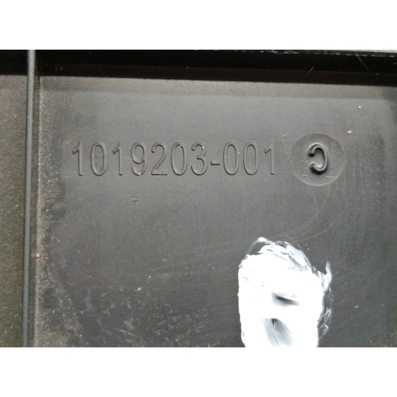 Recambio de guantera para renault scenic iii dynamique referencia OEM IAM 1019203001  