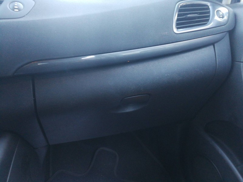 Recambio de guantera para renault scenic iii dynamique referencia OEM IAM 1019203001  