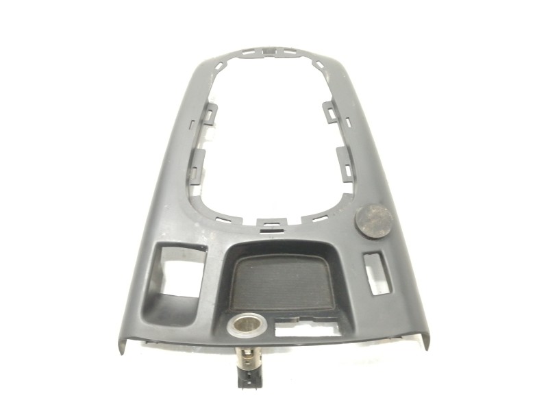 Recambio de moldura para renault scenic iii dynamique referencia OEM IAM 1019172  