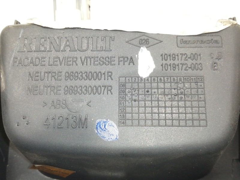 Recambio de moldura para renault scenic iii dynamique referencia OEM IAM 1019172  