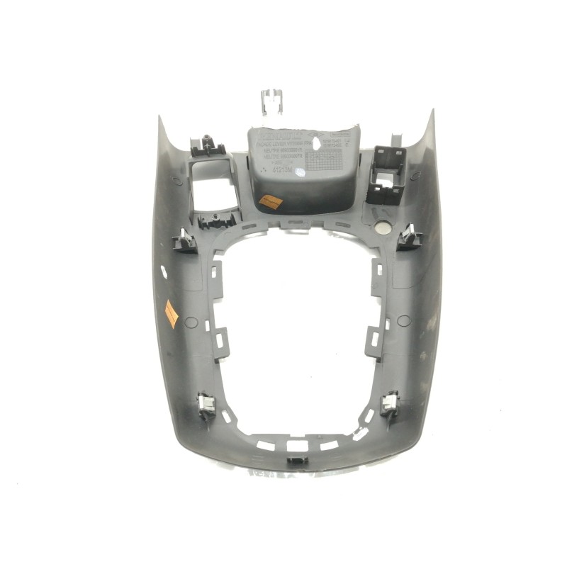Recambio de moldura para renault scenic iii dynamique referencia OEM IAM 1019172  