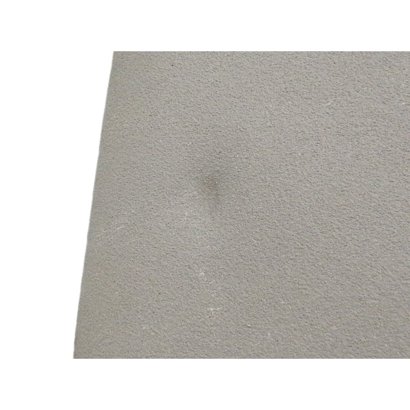 Recambio de parasol derecho para renault scenic iii dynamique referencia OEM IAM   