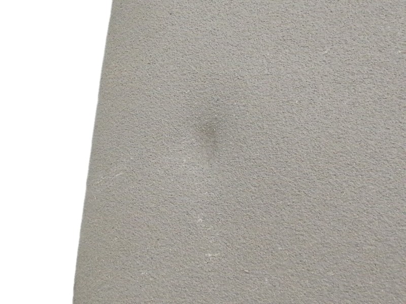 Recambio de parasol derecho para renault scenic iii dynamique referencia OEM IAM   