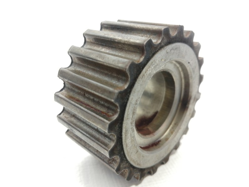 Recambio de polea cigueñal para renault scenic ii confort dynamique referencia OEM IAM 313627  