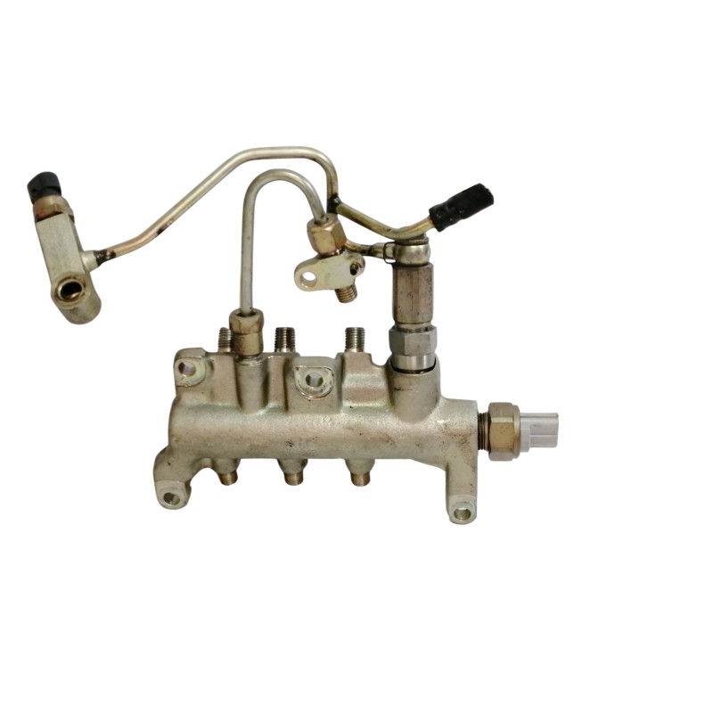 Recambio de rampa inyectora para renault vel satis (bj0) privilege referencia OEM IAM   