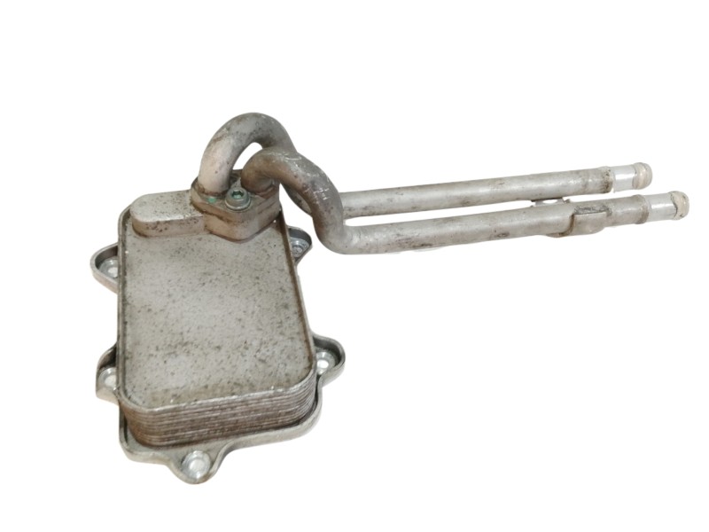 Recambio de enfriador aceite motor para renault vel satis (bj0) privilege referencia OEM IAM 03C121050  