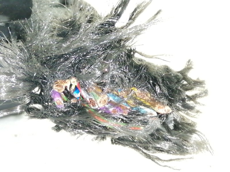 Recambio de centralita motor uce para audi a6 berlina (4f2) 2.0 tdi referencia OEM IAM 03G906016BF  