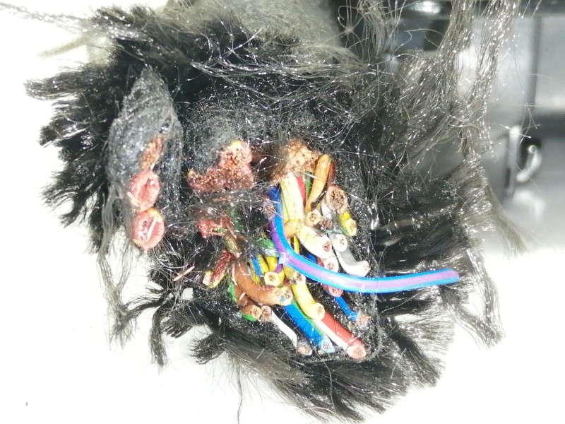 Recambio de centralita motor uce para audi a6 berlina (4f2) 2.0 tdi referencia OEM IAM 03G906016BF  